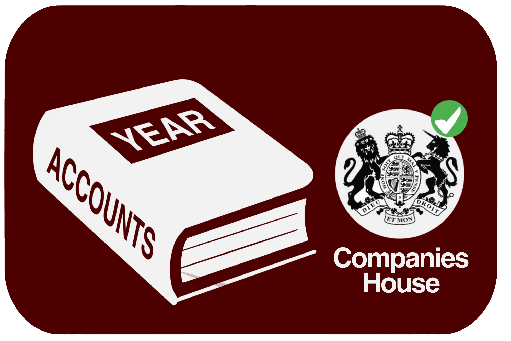 Annual Company Accounts