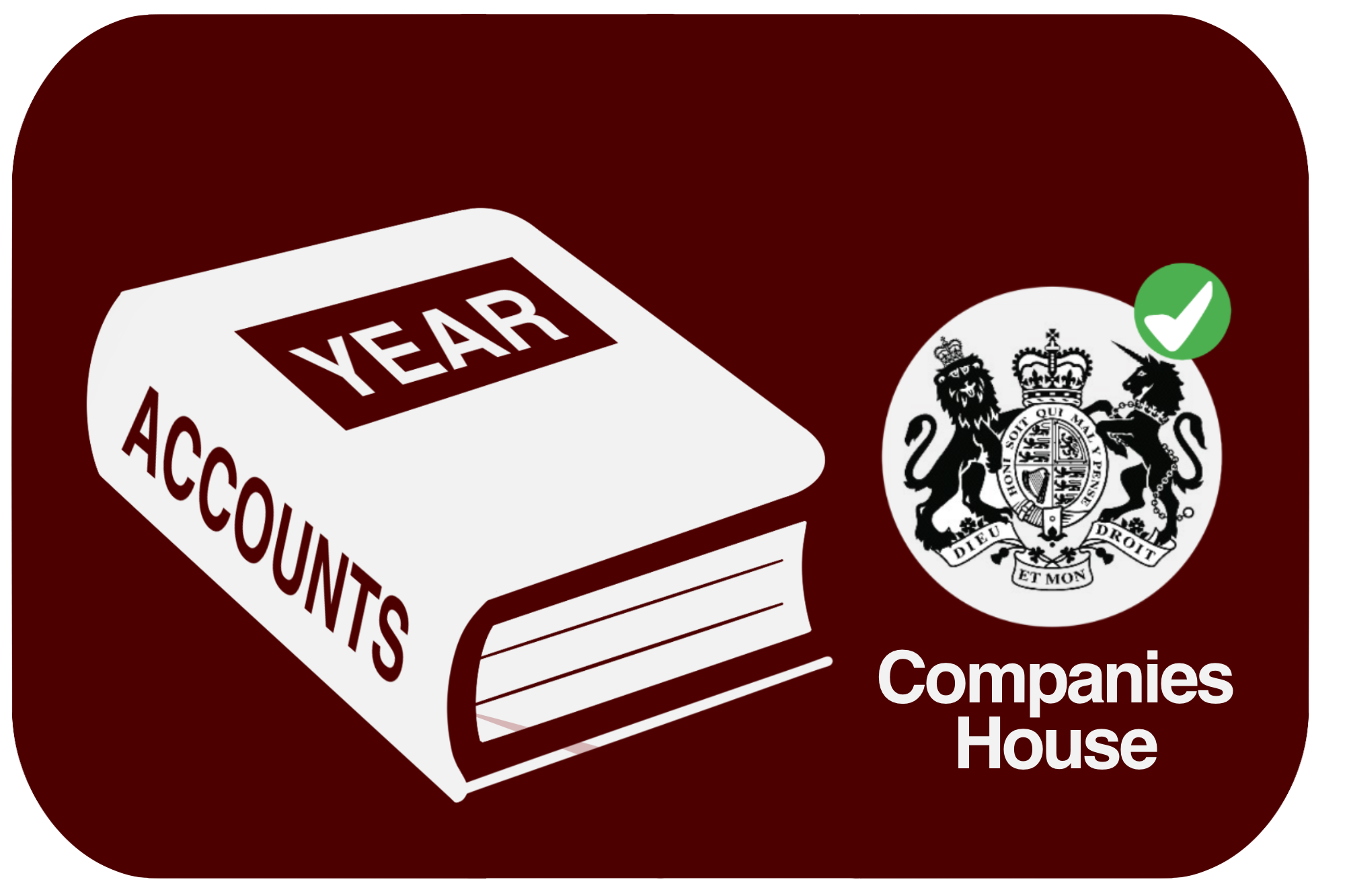 Annual Company Accounts