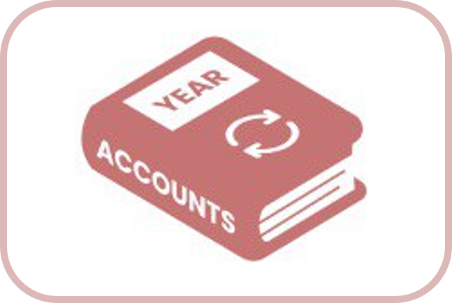 Annual Company Accounts